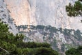 Detail of a steep rocky wall with green fir trees in the mountains. Steep stones of big rocky mountain with coniferous trees Royalty Free Stock Photo