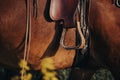 A detail of a stirrup on a western leather saddle