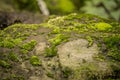 Detail of an stone, texture photography, with green moss, Royalty Free Stock Photo