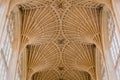 Detail of the Stone Vault at Bath Abbey