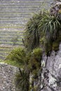 Stone wall at Machu Picchu, Peru Royalty Free Stock Photo