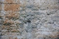 Detail of an old medieval wall, texture Royalty Free Stock Photo