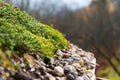 Detail of stones on extensive green living roof vegetation covered Royalty Free Stock Photo