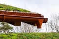 Detail of stones on extensive green living roof vegetation covered Royalty Free Stock Photo