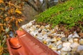 Detail of stones on extensive green living roof vegetation covered Royalty Free Stock Photo