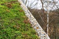 Detail of stones on extensive green living roof vegetation covered Royalty Free Stock Photo