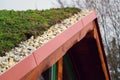 Detail of stones on extensive green living roof vegetation covered Royalty Free Stock Photo