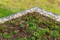 Detail of stones on extensive green living roof vegetation covered Royalty Free Stock Photo