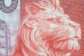 The detail and a story on Hokong dollar banknotes. Macro 1:1 Photograph