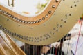 Detail of the strings and mast of a classic harp