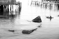 Detail of submerged boat in black and white