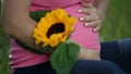 Detail of sunflower and pregnant woman fondling her belly