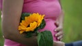Detail of sunflower and woman fondling her stomach