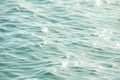 Detail of a sunlight reflecting in glittering sea. sparkler in water - background. sea water with sun glare and ripple. Powerful a Royalty Free Stock Photo