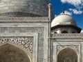 Detail of the Taj mahal mausoleum in the city of agra