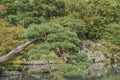 Detail Of The Tenryuji Temple Zen Garden At Arashiyama Kyoto Japan Royalty Free Stock Photo