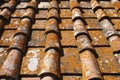 Detail of terracotta roof tiles Royalty Free Stock Photo