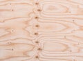 Detail texture of plywood Royalty Free Stock Photo