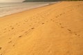 Detail texture of sand Sea sun beach for relax in holiday Sunny summer background with foot print on sand beautiful beach in Royalty Free Stock Photo