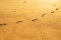 Detail texture of sand Sea sun beach for relax in holiday Sunny summer background with foot print on sand beautiful beach in Royalty Free Stock Photo