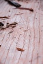 Detail of the texture of a wooden log split in half. Royalty Free Stock Photo