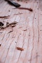 Detail of the texture of a wooden log split in half.