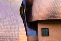 Detail of the titanium of the Guggenheim museum in Bilbao Royalty Free Stock Photo