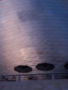 Detail of the titanium of the Guggenheim museum in Bilbao with u Royalty Free Stock Photo