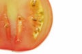 Detail of tomato slice with blank space on the right Royalty Free Stock Photo