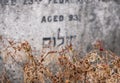 Detail on tombstone at the Victorian Jewish cemetery in Willesden, north west London, UK, photographed in autumn.