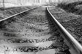 Detail of tracks leading in black and white. Royalty Free Stock Photo
