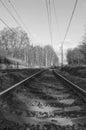 Detail of tracks leading in black and white. Royalty Free Stock Photo