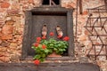 Detail of a traditional house decoration with geranium flowers and old, wooden clogs. Royalty Free Stock Photo