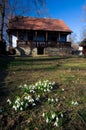 Spring in Romania - Traditional house Royalty Free Stock Photo