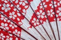 Detail of traditional Japanese fan