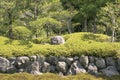 Detail of traditional Japanese garden Royalty Free Stock Photo