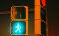 Detail of a traffic light for pedestrian crossing in Barcelona