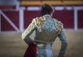 Detail of the traje de luces or bullfighter dress Royalty Free Stock Photo