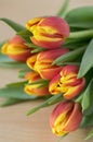 Detail of tulip bouquet, ornamental spring flowers, yellow red flower heads in bloom with leaves Royalty Free Stock Photo