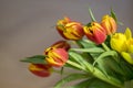 Detail of tulip bouquet, ornamental spring flowers, yellow red flower heads in bloom with leaves Royalty Free Stock Photo