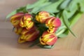 Detail of tulip bouquet, ornamental spring flowers, yellow red flower heads in bloom with leaves Royalty Free Stock Photo