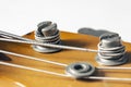 Detail of a tuning post of an electric bass