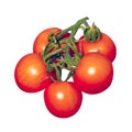 Photo with a crop of Tomatoes on White Background. Royalty Free Stock Photo