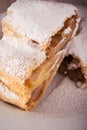 Detail of Two slices of apple strudel with powder sugar Royalty Free Stock Photo
