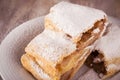 Detail of Two slices of apple strudel with powder sugar on white saucer Royalty Free Stock Photo