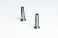 Detail of two small steel screws positioned vertically Royalty Free Stock Photo