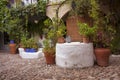 Detail of a typical Andalusian patio with stone floor, water well and decorated with different types of plants and pots. Cordoba Royalty Free Stock Photo