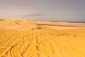 Detail of tyre tracks in sand desert Royalty Free Stock Photo