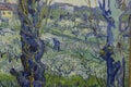 Detail of the Van Gogh painting View of Arles