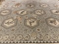 Detail of the Venatio Mosaic, Vallon Museum, Vaud Switzerland